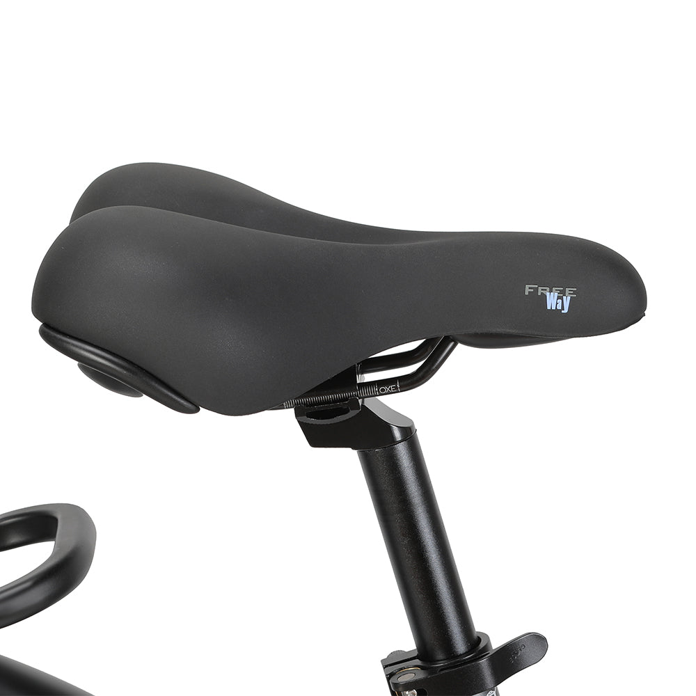 VEIO Voy Step-Thru Electric Trekking Bike